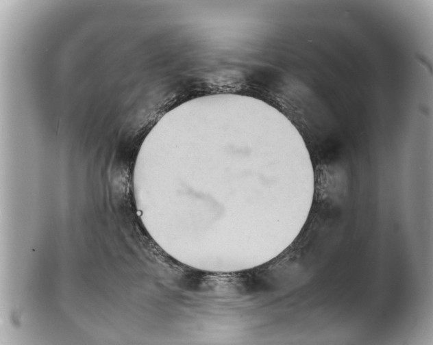 X0000100980713200807011443