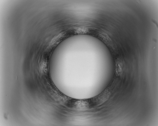 X0000100980714200807011443