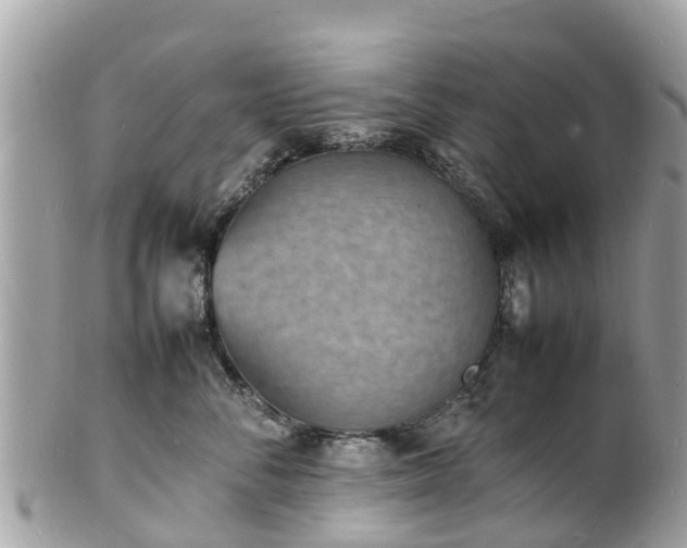 X0000100980716200807011443