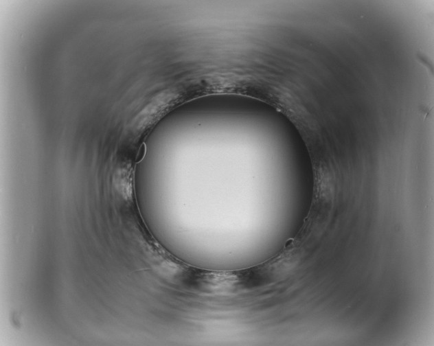 X0000100980719200807011443