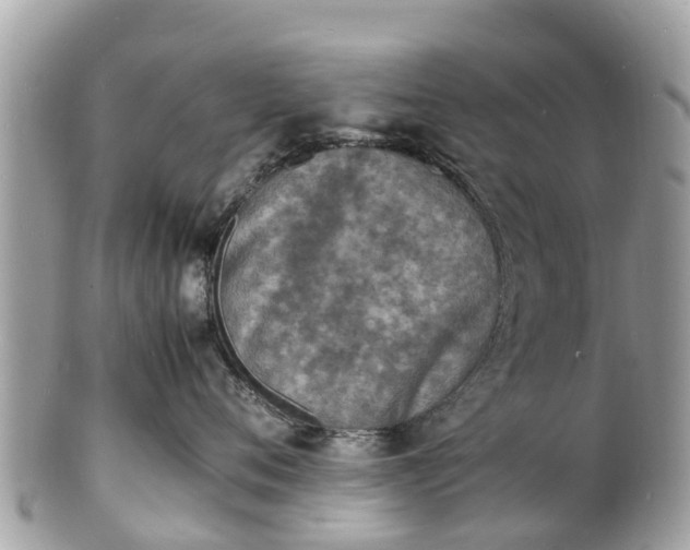 X0000100980720200807011443