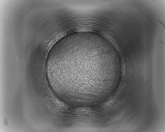 X0000100980721200807011442