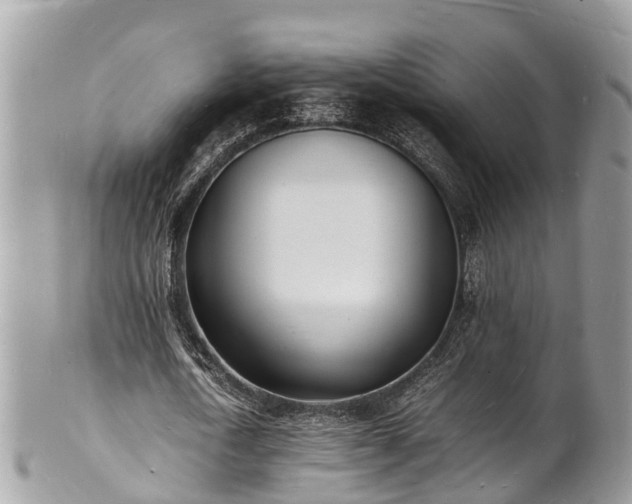 X0000100980722200807011442