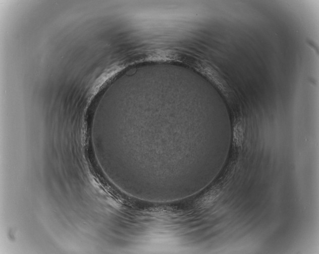 X0000100980724200807011443