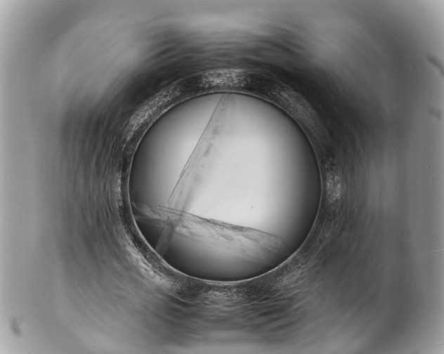 X0000100980725200807011443