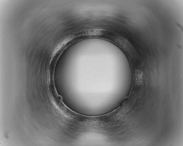 X0000100980726200807011443