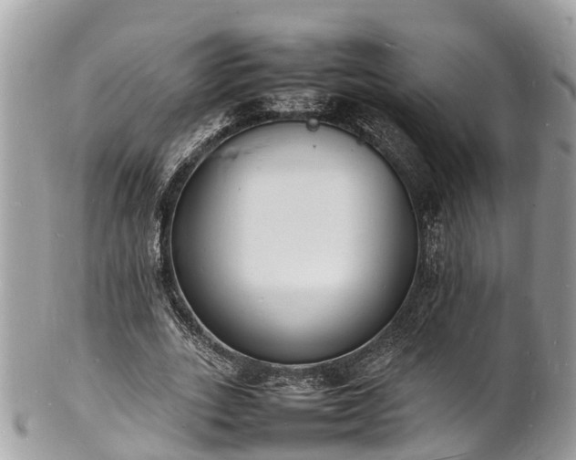 X0000100980727200807011443