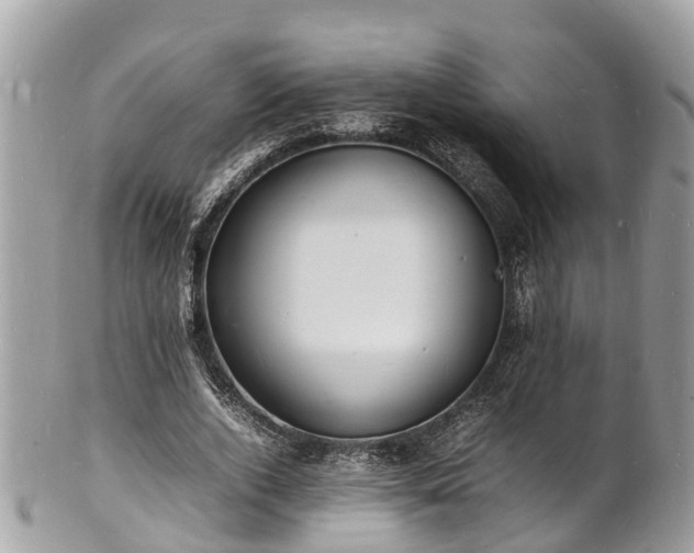 X0000100980728200807011443