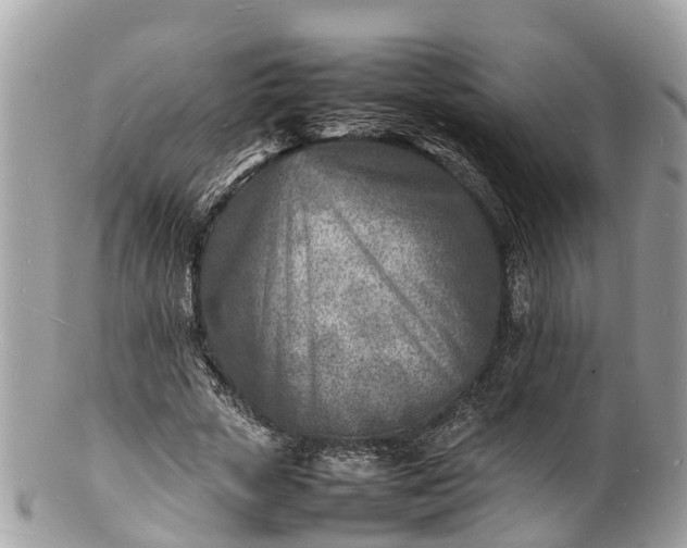 X0000100980729200807011443