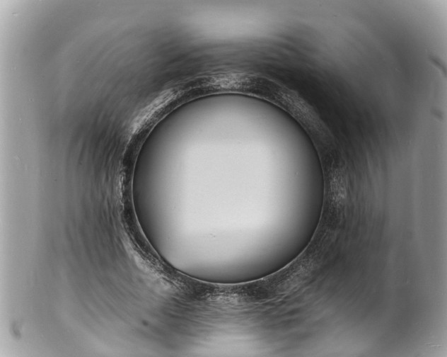 X0000100980730200807011443