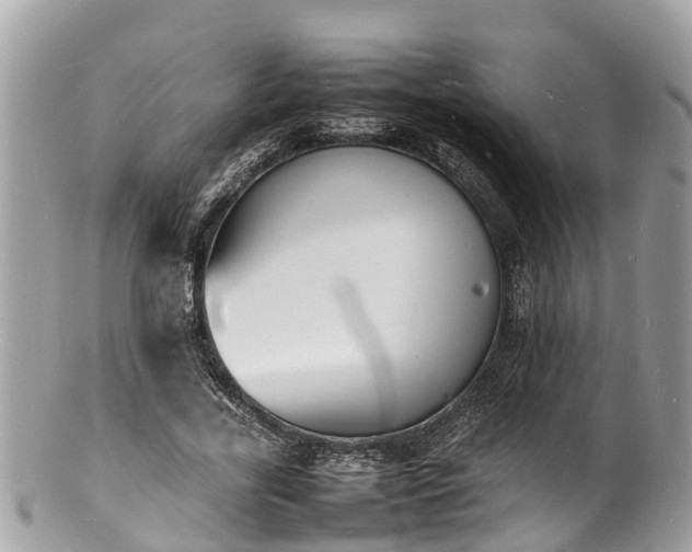 X0000100980731200807011443