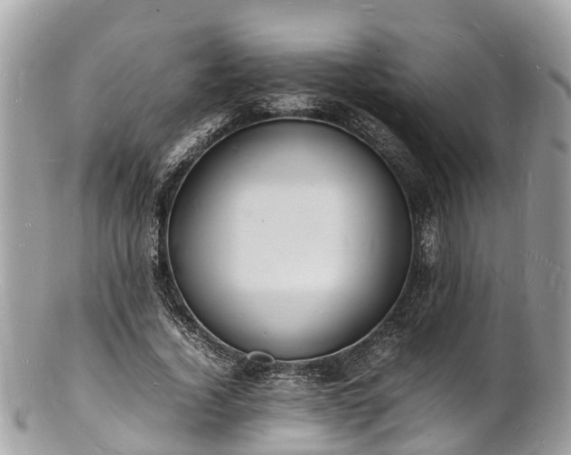 X0000100980732200807011443