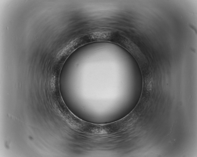 X0000100980735200807011443