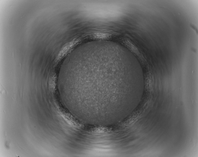 X0000100980736200807011443