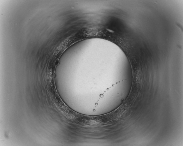 X0000100980737200807011443