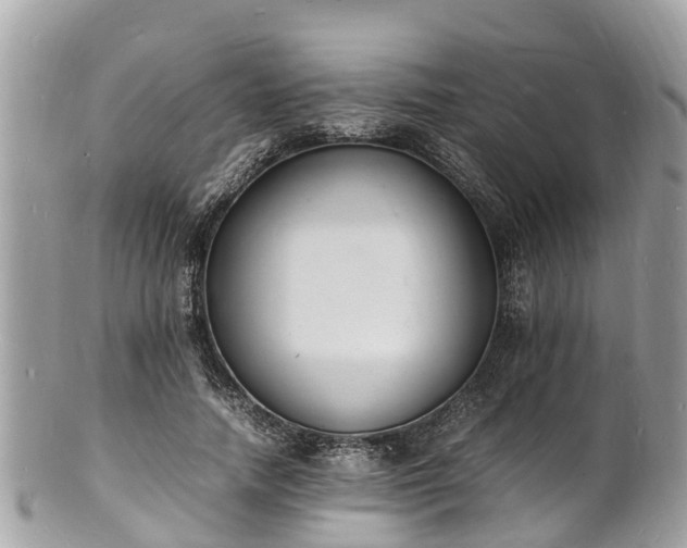 X0000100980738200807011443