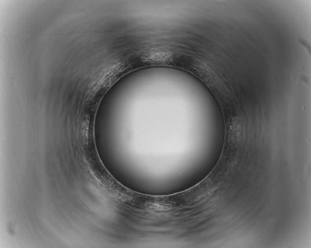 X0000100980739200807011443