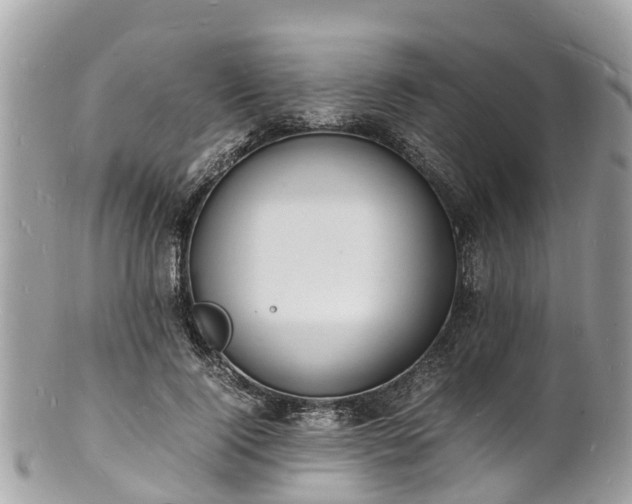 X0000100980740200807011443