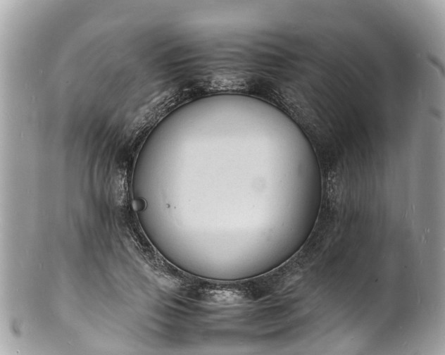 X0000100980741200807011443