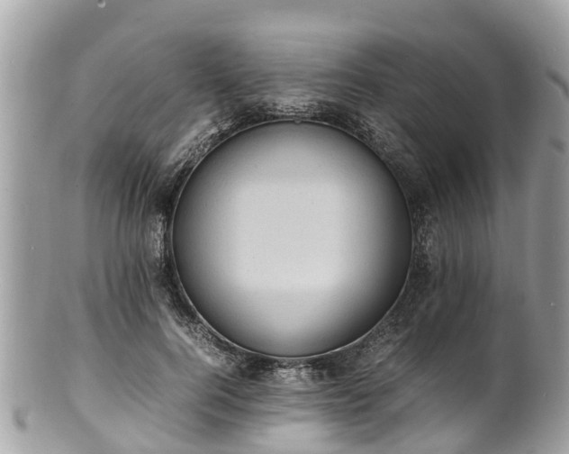 X0000100980744200807011443