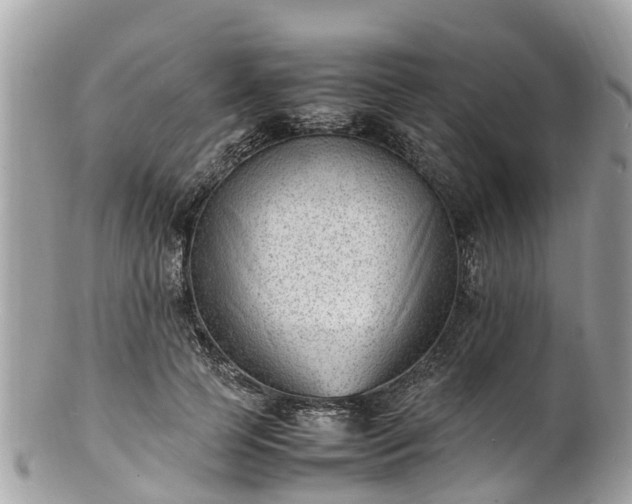 X0000100980745200807011443