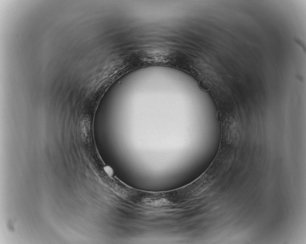 X0000100980747200807011443