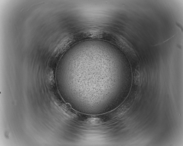 X0000100980748200807011443