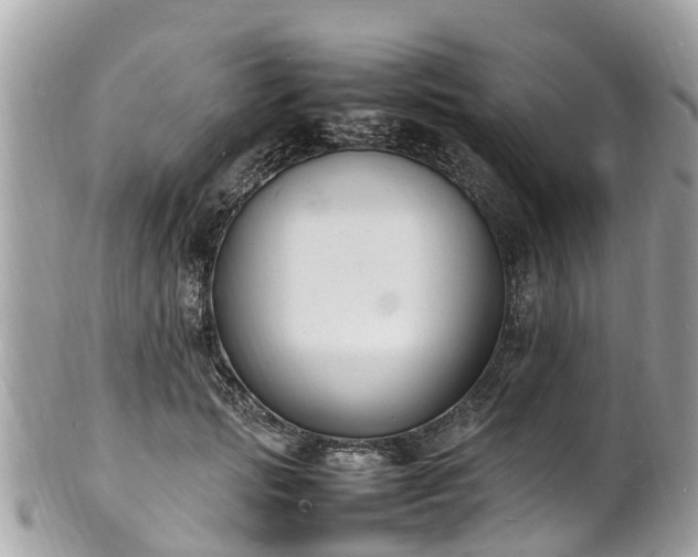 X0000100980749200807011443