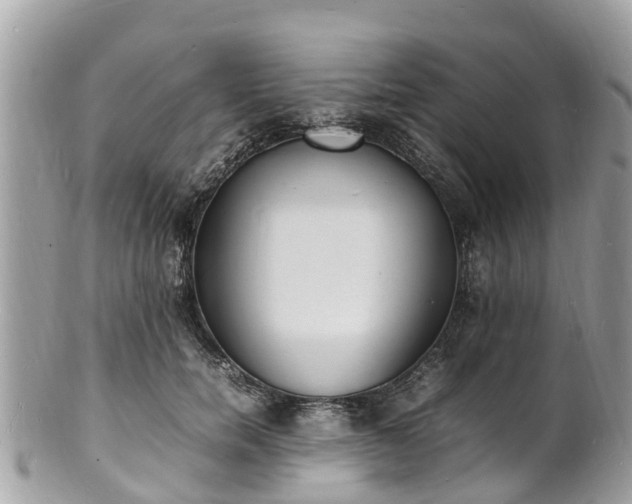 X0000100980750200807011443