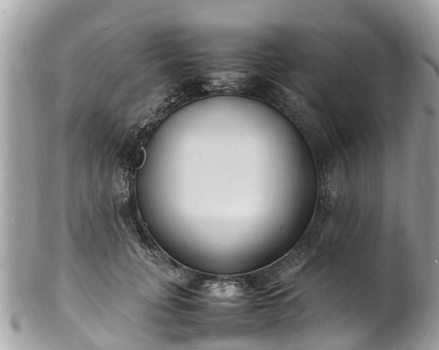 X0000100980751200807011443