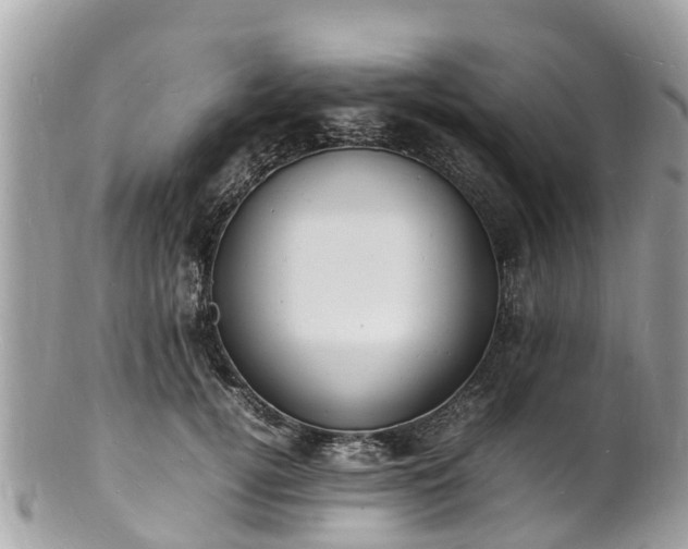 X0000100980752200807011443