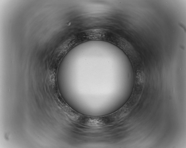 X0000100980753200807011443