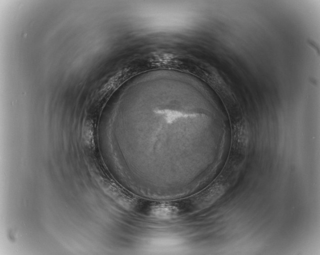 X0000100980754200807011443