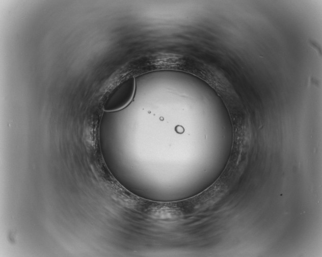 X0000100980755200807011443