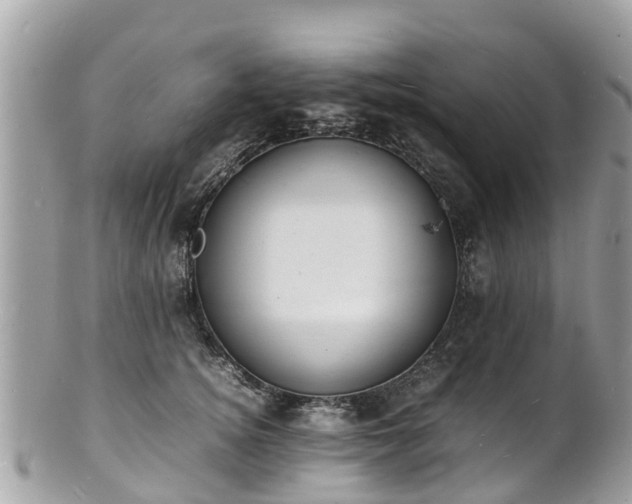 X0000100980756200807011443