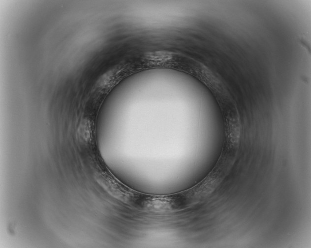 X0000100980758200807011443