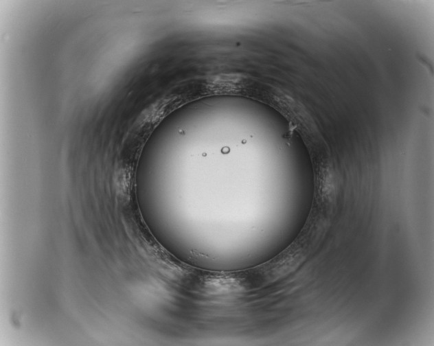 X0000100980759200807011443