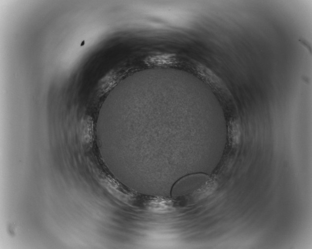 X0000100980760200807011443