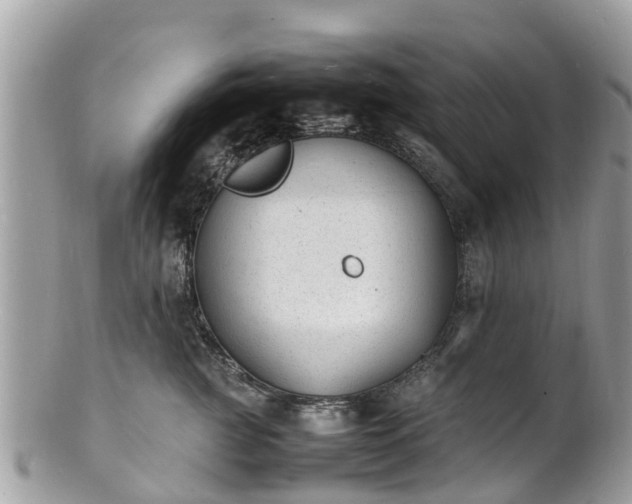 X0000100980761200807011443