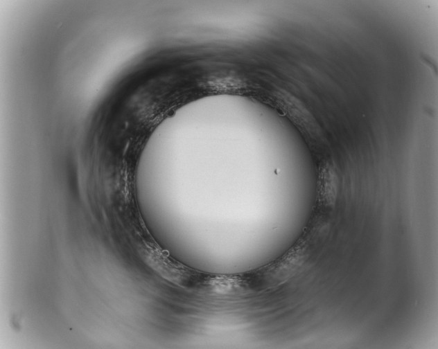 X0000100980762200807011443