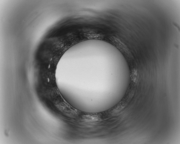 X0000100980763200807011443