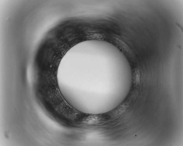 X0000100980764200807011443