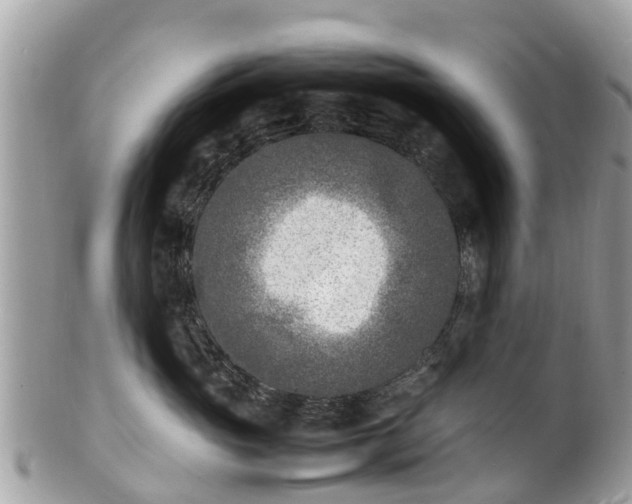 X0000100980765200807011443