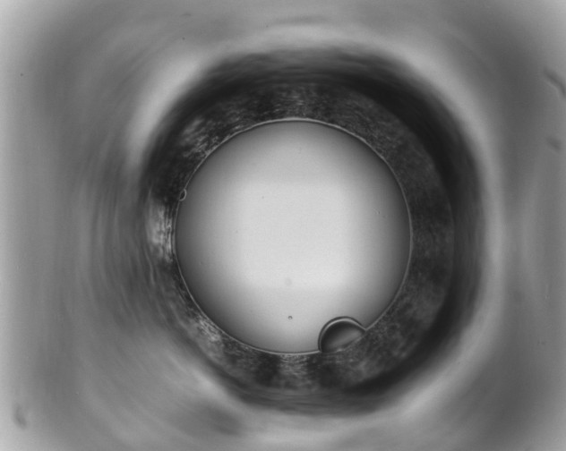 X0000100980766200807011443