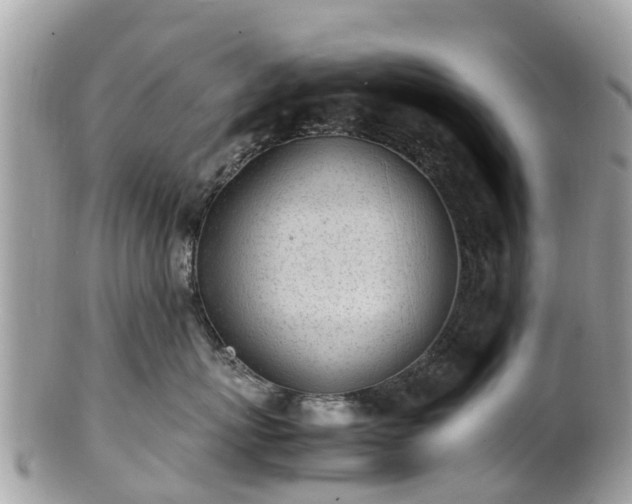 X0000100980767200807011443