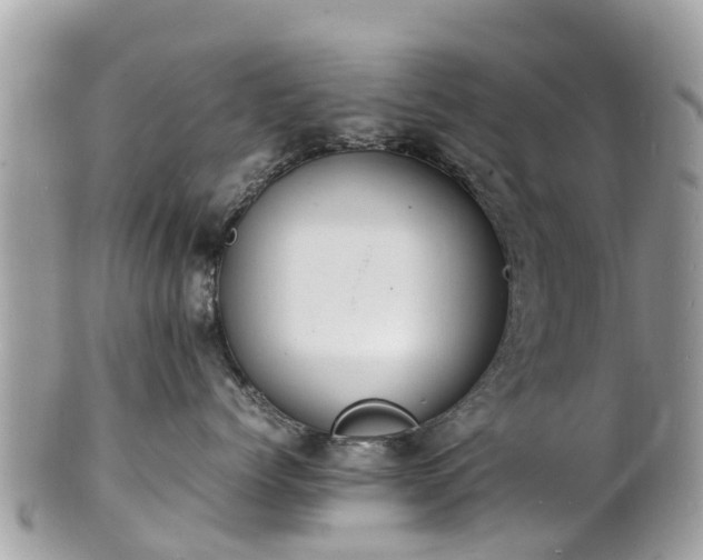 X0000100980768200807011443