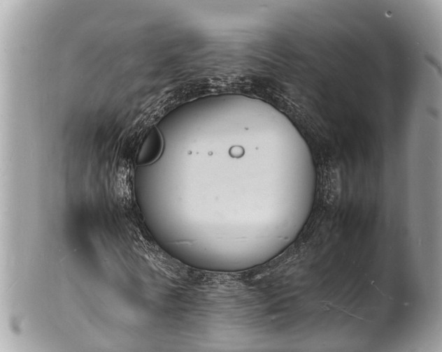 X0000100980770200807011442