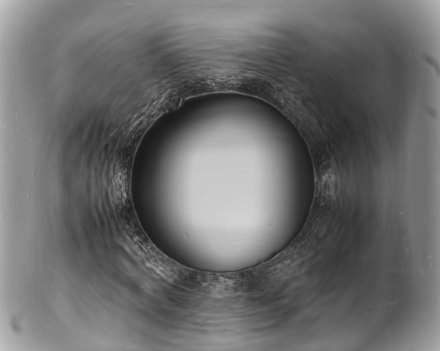 X0000100980772200807011442