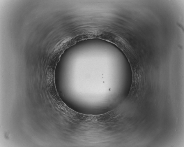 X0000100980773200807011442