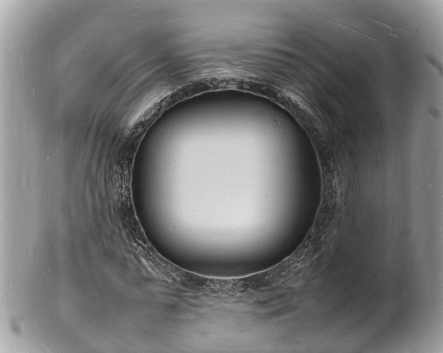 X0000100980775200807011442